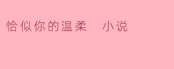 恰似你的温柔 小说